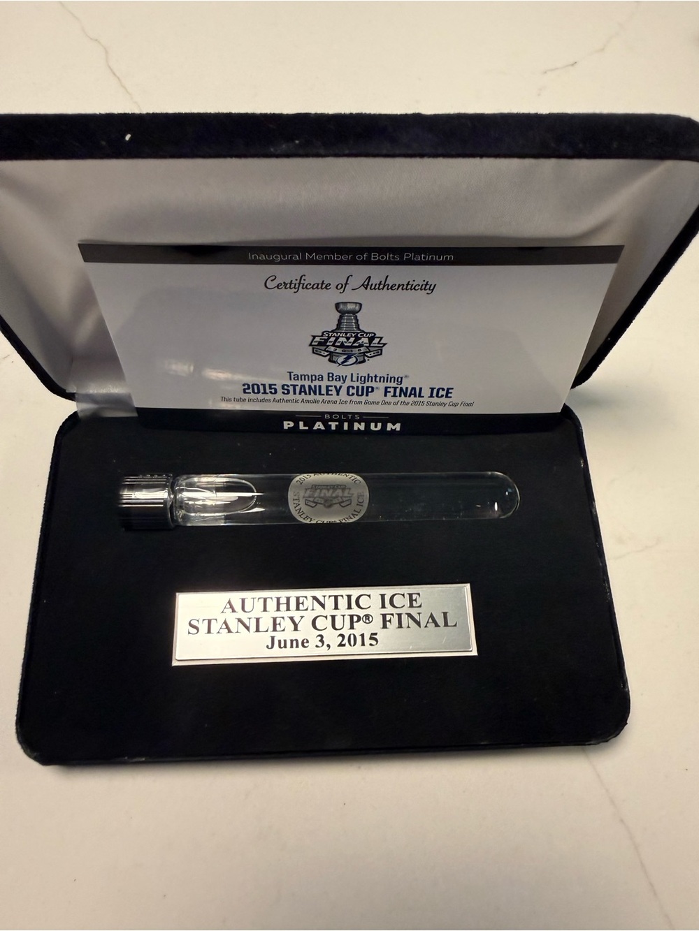 2015 Stanley Cup Final Authentic Ice Display